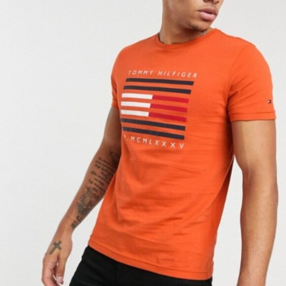 Tommy Hilfiger Men's Corp Flag Lines Logo Tshirt - S - Picture 1 of 6